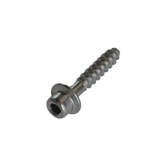 Stainless Steel Screw for Footstraps